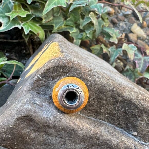 Authentic PANDORA Pau Amarelo Wood Charm With Sterling Silver Core - Picture 5 of 5